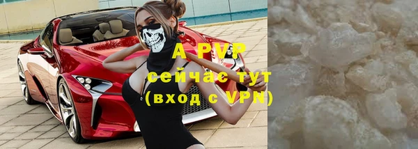 apvp Богданович